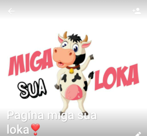 Página miga sua loka❤