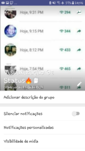 Vιѕυαℓιzαçãσ ∂є Status??