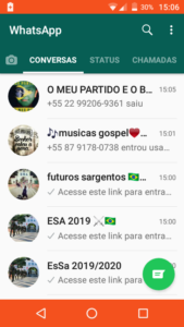 O MEU PARTIDO E O BRASIL