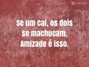 Laços que a vida nos traz