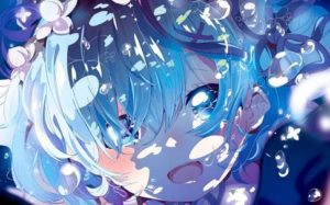 Animes.com