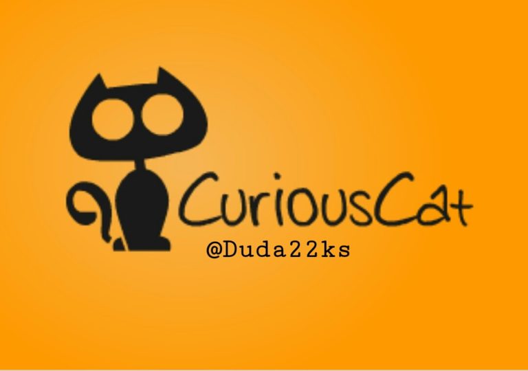 CURIOUSCAT