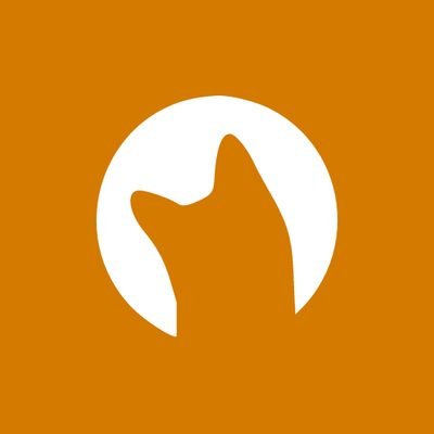 Curious Cat Divulgue