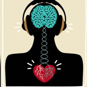 Musicas e videos