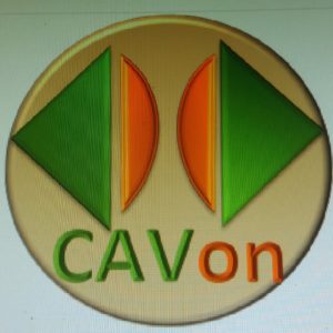 Cavon video curriculo
