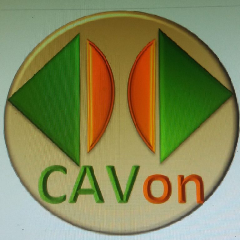 Cavon video curriculo