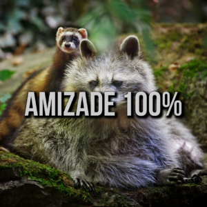 AMIZADE 100%