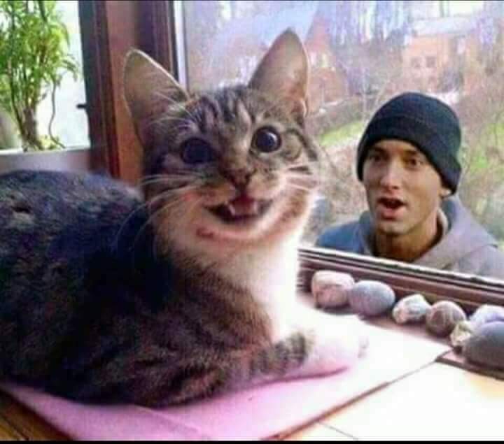 THE MARSHALL MATHERS lll