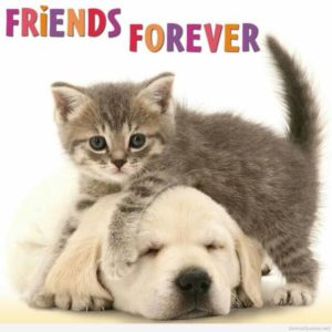 Friends forever