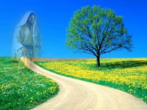 A CAMINHO DA LUZ