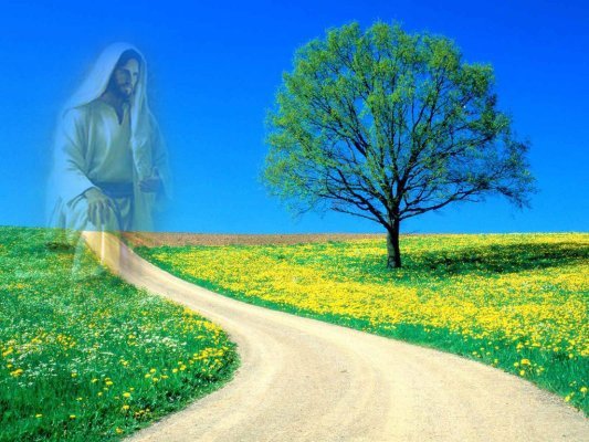A CAMINHO DA LUZ