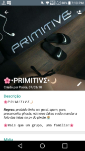 ?•PRIMITIVΣ•?