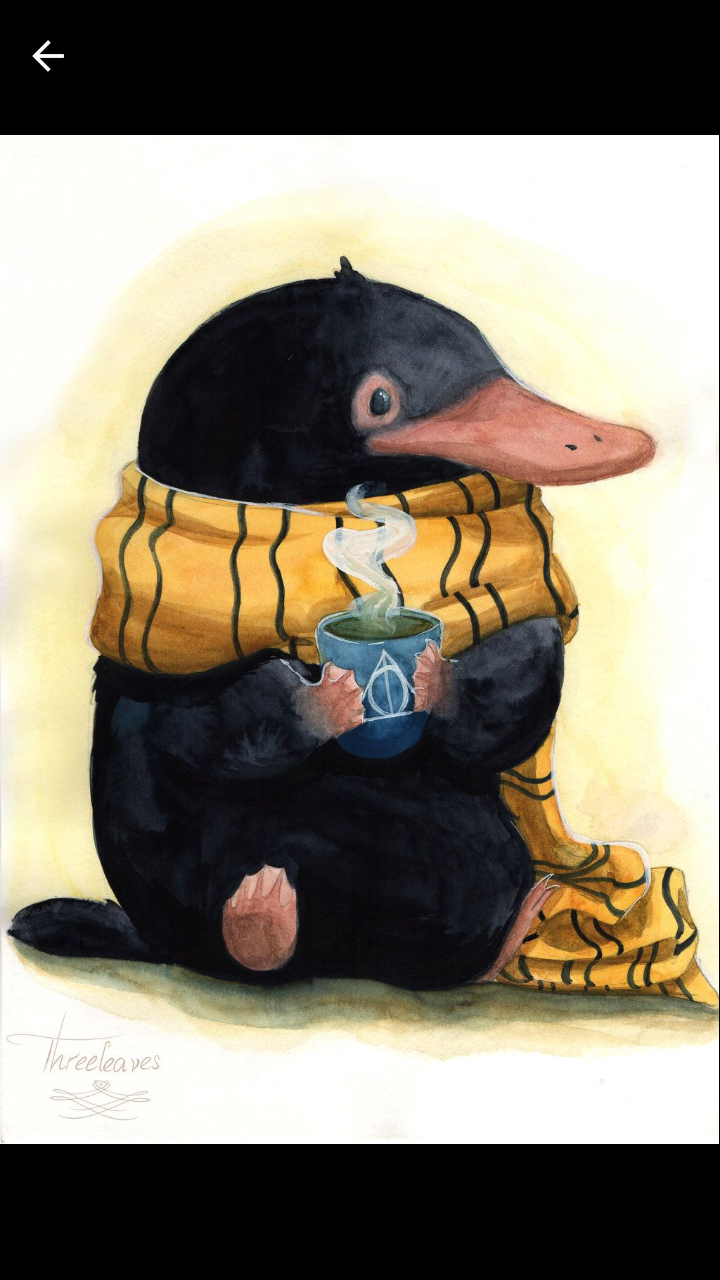 Hufflepuffers
