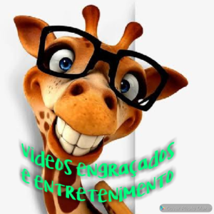 Videos engraçados e entretenimento