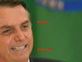 Bolsonaro 2019