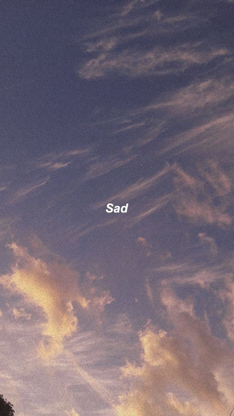?? мυℓтιvεяsσ ??