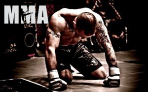 Artes Marciais Mistas