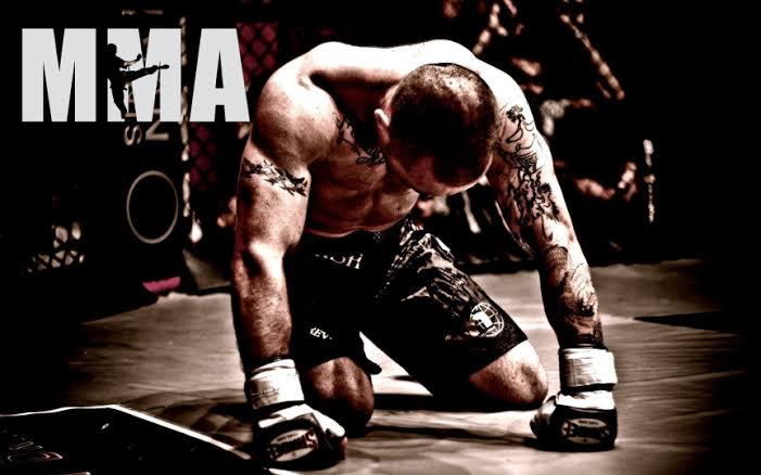 Artes Marciais Mistas