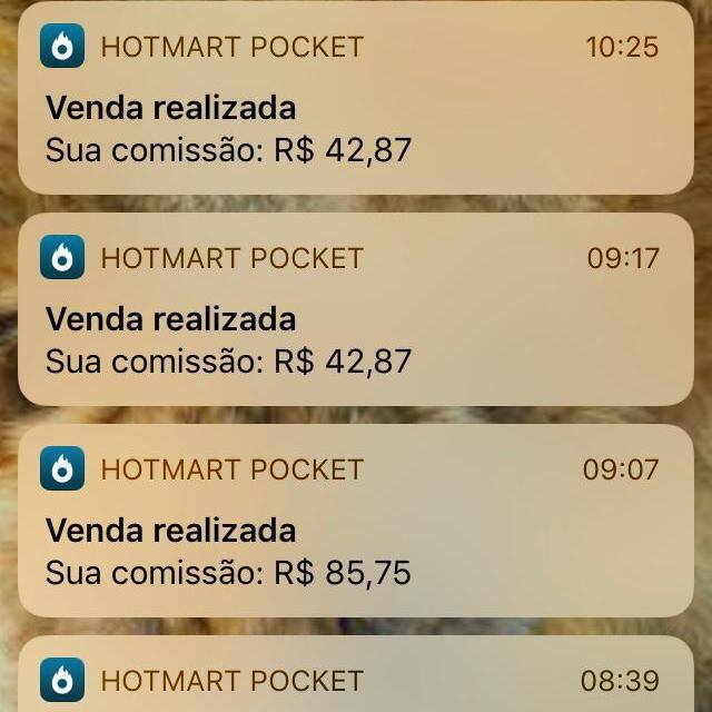 Empreender Online ????