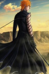 BLEACH_ANIMES_BRASIL