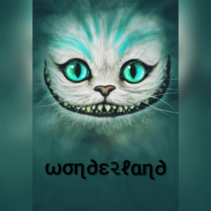 ✨ ωσɳ∂ε૨ℓαɳ∂ ✨