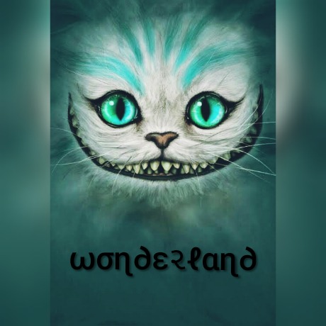 ✨ ωσɳ∂ε૨ℓαɳ∂ ✨