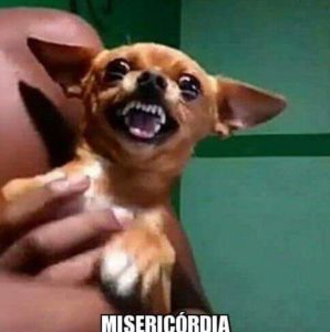 Zuera ilimitada!!