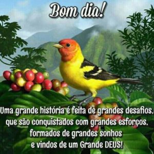 Conversar legal