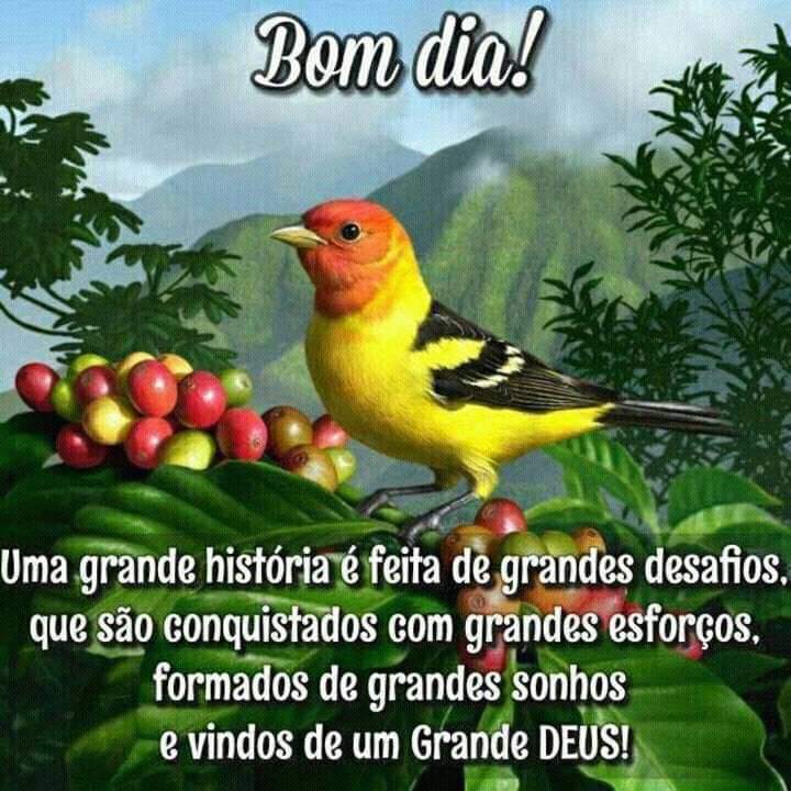 Conversar legal