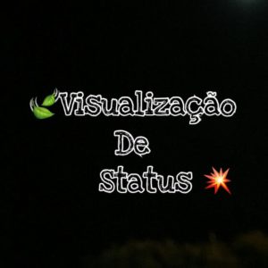 VISUALIZAÇÕES DE STATUS