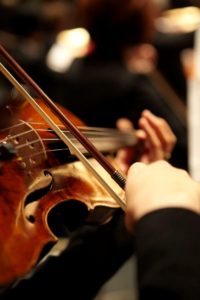 Violin