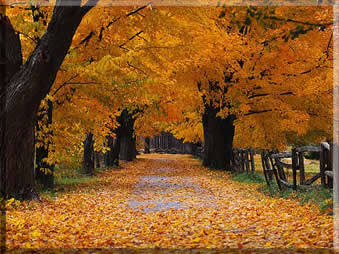 Make It Fall