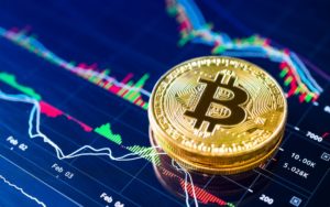 Investidores Bitcoin Brasil