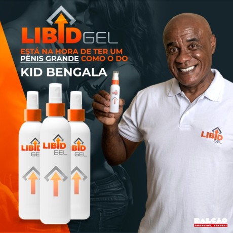 Revendedores LibidGel