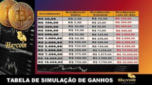 Ha7coin Internacional