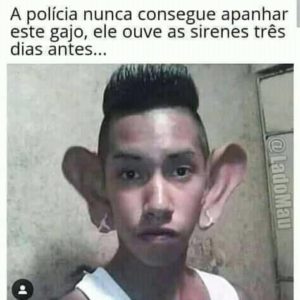 StatusPaderu