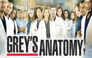 Hospital memorial Grey’s+Sloan