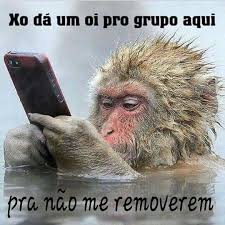 MEMES BRASILEIRO