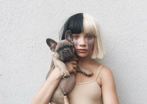 Fãs da Sia ✨?