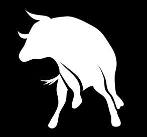 Brasil Bucks – Trade in Real Time