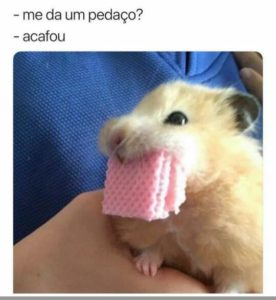 Vïzüålïzäçåø ?