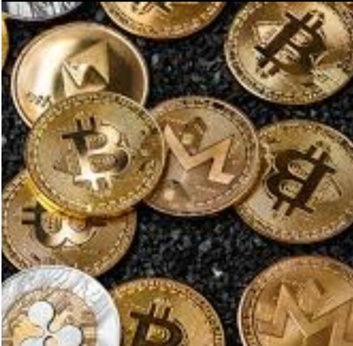 Cripto Bulls