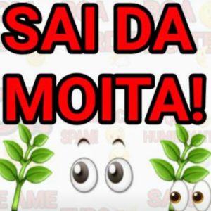 Sai da moita