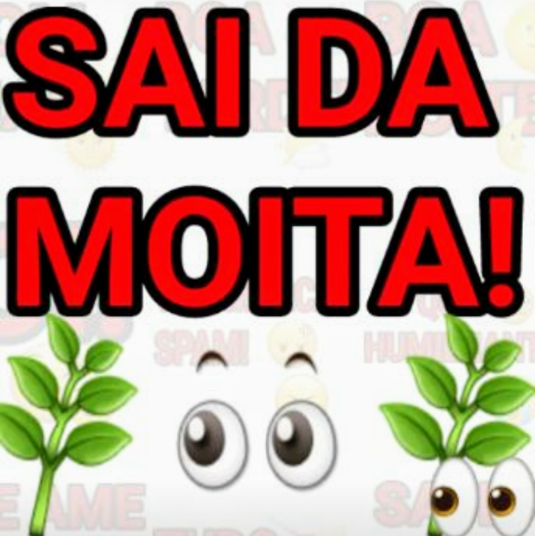 Sai da moita