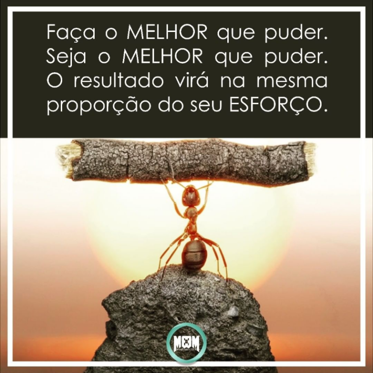 Motivação Diária