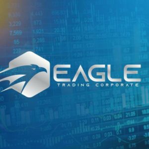 TOP – BINARIO PERFEITO EAGLE – INVESTIMENTO