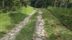 Subindo a Colina