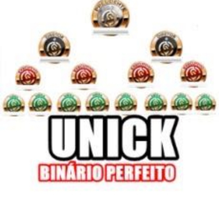 UNICK BINÁRIO PERFEITO