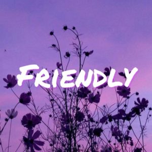 F R I E N D L Y