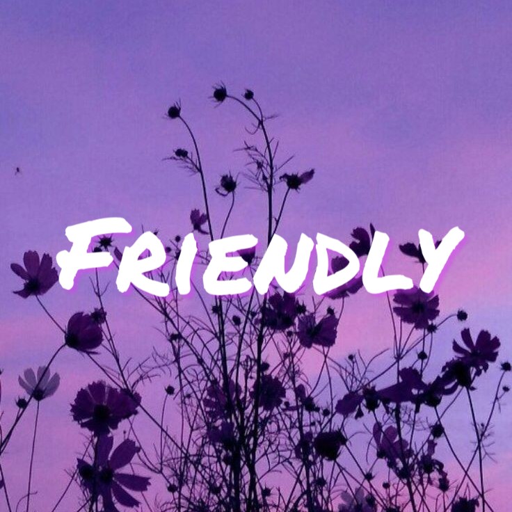 F R I E N D L Y
